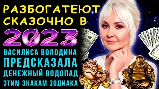 Василиса Володина предсказала: ДЕНЕЖНЫЙ ВОДОПАД и БОГАТСТВА в 2023 году