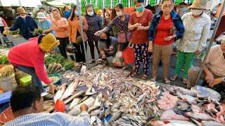 Wonderful Wet Market Scenes - People Activities, Fish, Vegetables, Pork, Fruits & More|TourWithPapa