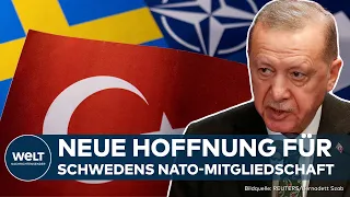 HÜRDE GENOMMEN: Türkischer Parlamentsausschuss billigt Nato-Beitritt Schwedens