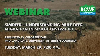 SIMDeer: Understanding Mule Deer Migration in South Central B.C.