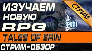 Tales of Erin - Изучаем новую RPG игру