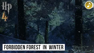 HP4 - Ambience & Music ⚡️ Forbidden Forest in Winter - [HD ASMR & Animation]