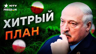 ВАЖНО БЕЛОРУСАМ! ИЗВЕСТНО, чего добивается Лукашенко ПРОВОКАЦИЯМИ НА ГРАНИЦАХ