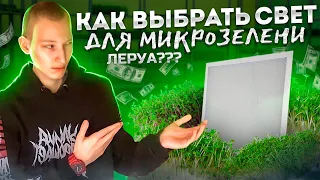 Свет для микрозелени! Как выбрать? Сколько нужно ватт? Бизнес!