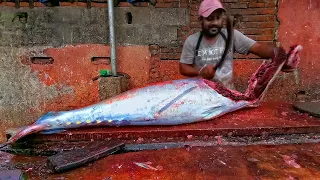 220 LB Amazing Giant  Bluefin Tuna  Knife Cuts Like Butter  For Luxurious Sashimi and Steaks