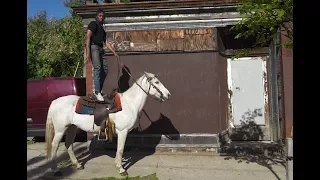 Concrete Cowboys: The Urban Riders of Philadelphia