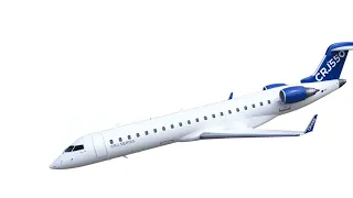 CRJ Pull up Alarm?