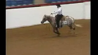 Some Kinda Shine ApRHA Winning Futurity Run 2009