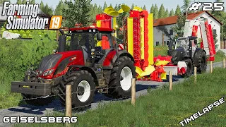 Preparing fields for baling | Animals on Geiselsberg | Farming Simulator 19 | Episode 25