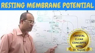 Resting Membrane Potential | Neurology | Dr Najeeb