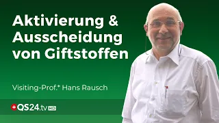 Entgiftet Fasten wirklich? | Hans Rausch | NaturMEDIZIN | QS24 Gesundheitsfernsehen