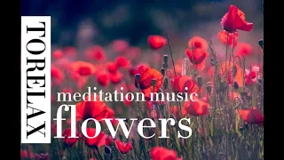 Музыка для медитации - Красивые цветочные пейзажи для релакса. MUSIC FOR MEDITATION AND RELAX.