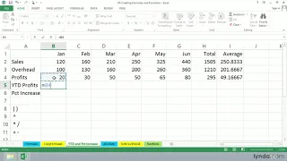 Excel Tutorial - Calculating the year-to-date profits