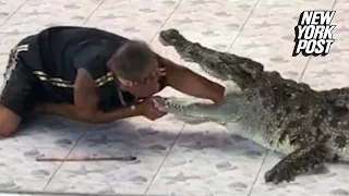 Spoiler alert: Shoving your arm down a crocodile's throat doesn't end well