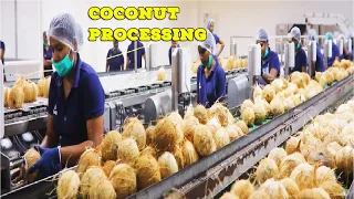 Inside COCONUT Processing in Modern Factory - Coconut Oil, Milk and Flour - Coconut Process Plant