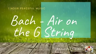 J.S. Bach: Air on the G String | 1 HOUR Relaxation and Study Music