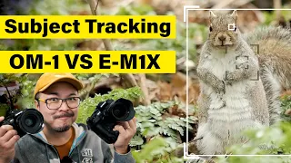 OM-1 VS E-M1X Subject Tracking which one is BETTER ?? - RED35 LAB