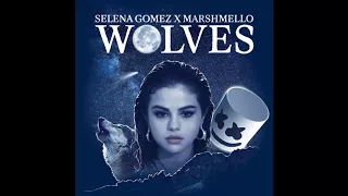 Selena Gomez, Marshmello - Wolves (Male Version/Pitch)