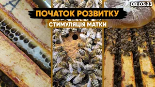 Початок стимуляції матки для кращого розвитку. Тестування полосок ранньою весною.