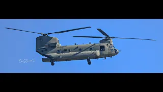 Chinook CH 47 ZVI 8571