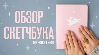 Обзор Скетчбука | Нежнятина