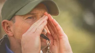 Gundog Training - Stop Whistle