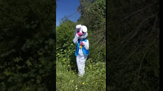 Easter Bunny Hopping By