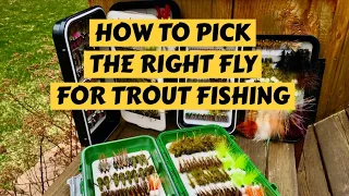 How to Pick the Right Fly for Trout