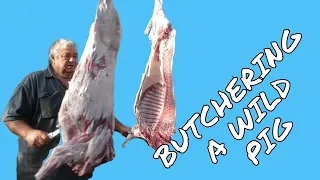 BUTCHERING A WILD PIG