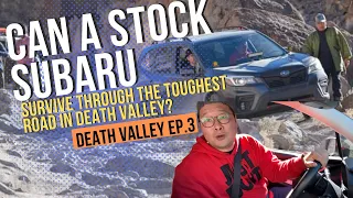 STOCK SUBARU FORESTER CHALLENGES THE HARDEST TRAIL IN DEATH VALLEY #LIPPINCOTT