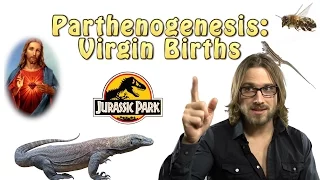 Parthenogenesis: Virgin Births