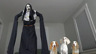 Dogs vs GIANT Evil Nun Prank! Funny Dogs Maymo, Potpie & Indie