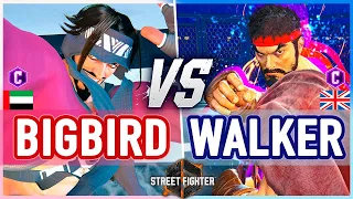 SF6 🔥 BigBird (Rashid) vs Ending Walker (Ryu) 🔥 Street Fighter 6
