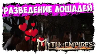 MYTH OF EMPIRES ►  МИНИ-ГАЙД ► КАК И ДЛЯ ЧЕГО РАЗВОДИТЬ ЛОШАДЕЙ