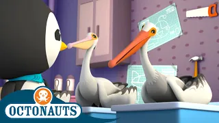 Octonauts - The Pelicans | Cartoons for Kids | Underwater Sea Education