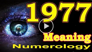 🔴 Angel Number Meanings 1977 ✅ Seeing 1977 ✅ Numerology Box