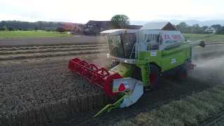 Dreschen - Mähdrescher - Claas Mega 350