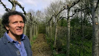 Gardeners' World 6 (2011)