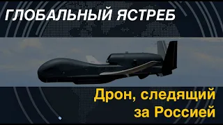 Global Hawk: Дрон, следящий за Россией