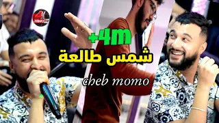 Cheb MoMo Avec PachiChi 2021-Chems Tal3a -وأنا مزال نشرب (Cover Bello)
