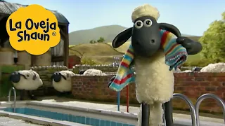 La Oveja Shaun 🐑 Fiesta de piscina 🐑 Dibujos animados para niños