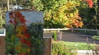 Plein Air Oil Painting Demo "October Trees" by Ramona Dooley