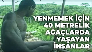 YENMEMEK İÇİN 40 METRELİK AĞAÇLARDA YAŞAYAN İNSANLAR