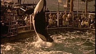 Found 8mm Film - Sea World, San Diego, 1969. Shamu