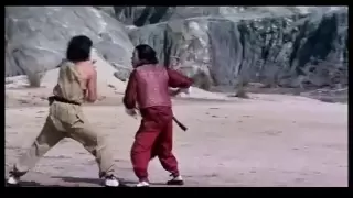 Jackie Chan vs Hwang Jang Lee- Snake In The Eagles Shadow End Fight [HQ].m4v