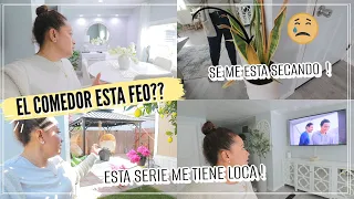 ESTE ES EL MEJOR MOMENTO DE COMPRAR LAS CASITAS | EL COMEDOR ESTA FEO?