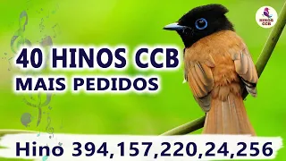 40 Hinos CCB Mais Pedidos 🎵  Hinos CCB Cantados - Louvores e Súplicas - Hino 394,157,220,24,256