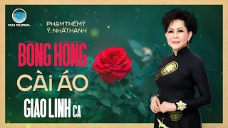 Bông Hồng Cài Áo | Giao Linh | Đại Dương Official