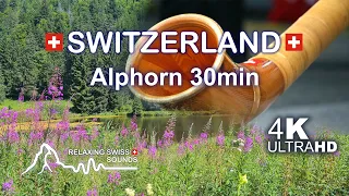 Alphorn music on the edge of Swiss Mountain Lake  #soothingrelaxation