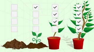 How To Make That Viral Growing Plant Progress Chart (Money Plant)